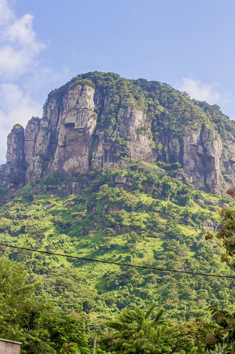 A fun and adventurous trip to Tafi Monkey Sanctuary and Mountain Afadja 4